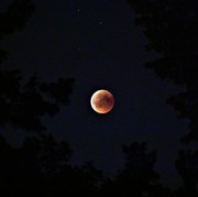 Gerhana Bulan Total 14 Maret 2025, Ada 'Blood Moon'