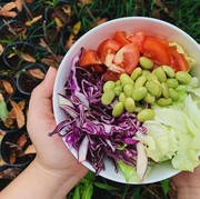6 Menu Buka Puasa Sehat untuk Vegetarian