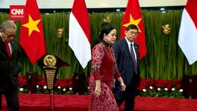VIDEO: Dikunjungi Sekjen Partai Komunis Vietnam, Puan: Siap Kerja Sama