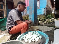 Perubahan dan Mimpi Besar dengan Endog Emen