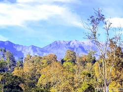 Sejumlah Pendaki Putar Balik Usai Gunung Raung Erupsi