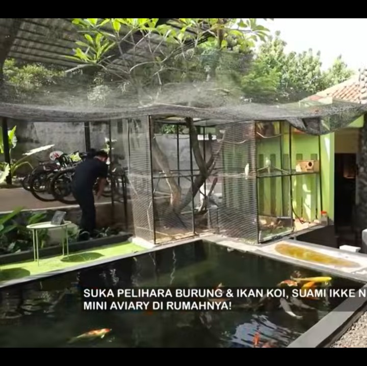 <p>Di dalam rumah ini, Ikke membuat kolam ikan koi deng kandang burung besar. Usut punya usut, suami Ikke yang memiliki ide dan membuat mini aviary di area tempat tinggalnya ini. (Foto: YouTube TRANS 7 OFFICIAL)</p>