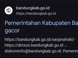 Situs Resmi Pemkab Bandung Diretas, Disusupi Pesan Judol!