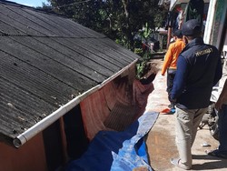 Tanah Longsor Rusak Rumah Warga di Cigombong Bogor, Jalan Terganggu