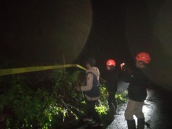 Tebing 10 Meter di Poncokusumo Longsor, Akses ke Bromo Via Malang Tertutup
