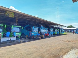 Kebijakan Larangan Study Tour Bikin PO Bus Gigit Jari