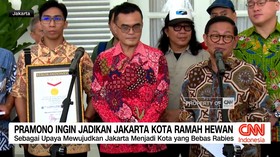 VIDEO: Pramono Ingin Jadikan Jakarta Kota Ramah Hewan