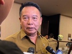Legislator PDIP Tak Masalah Pesawat Kepresidenan Ganti Warna: Nggak Mahal