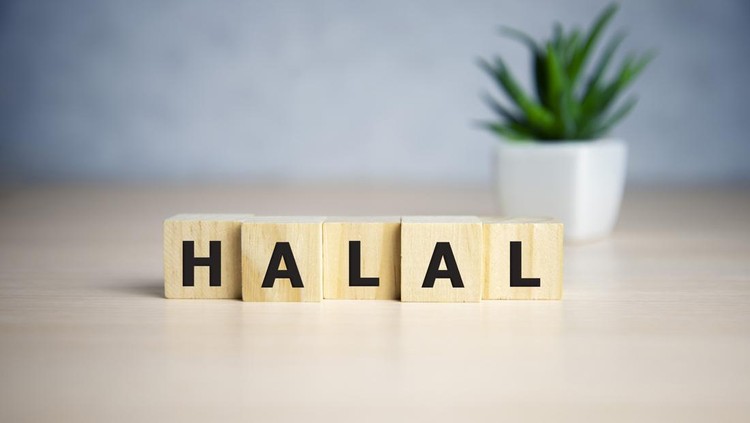 Ilustrasi halal