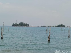 BMKG Keluarkan Peringatan Dini Banjir Rob di Kepri, Ini Daerah Terdampak