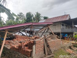 Pohon Tumbang Bikin Seorang Lansia Tewas