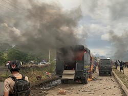Musabab Syukuran Bupati-Wabup Jayawijaya Ricuh hingga Korban Luka-luka