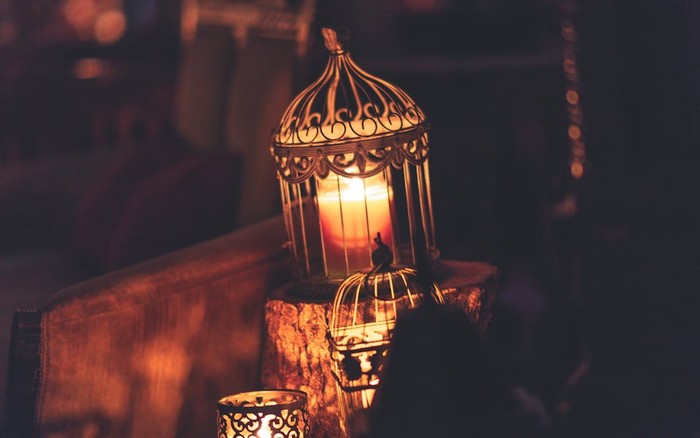 Ilustrasi/pexels.com/Craig Adderley