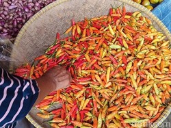 Harga Cabai di Pangandaran Makin Pedas, Tembus Rp 100 Ribu/Kg