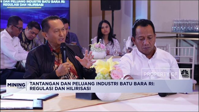 DPR Sebut Indonesia Tetap Butuh Gas & Batubara