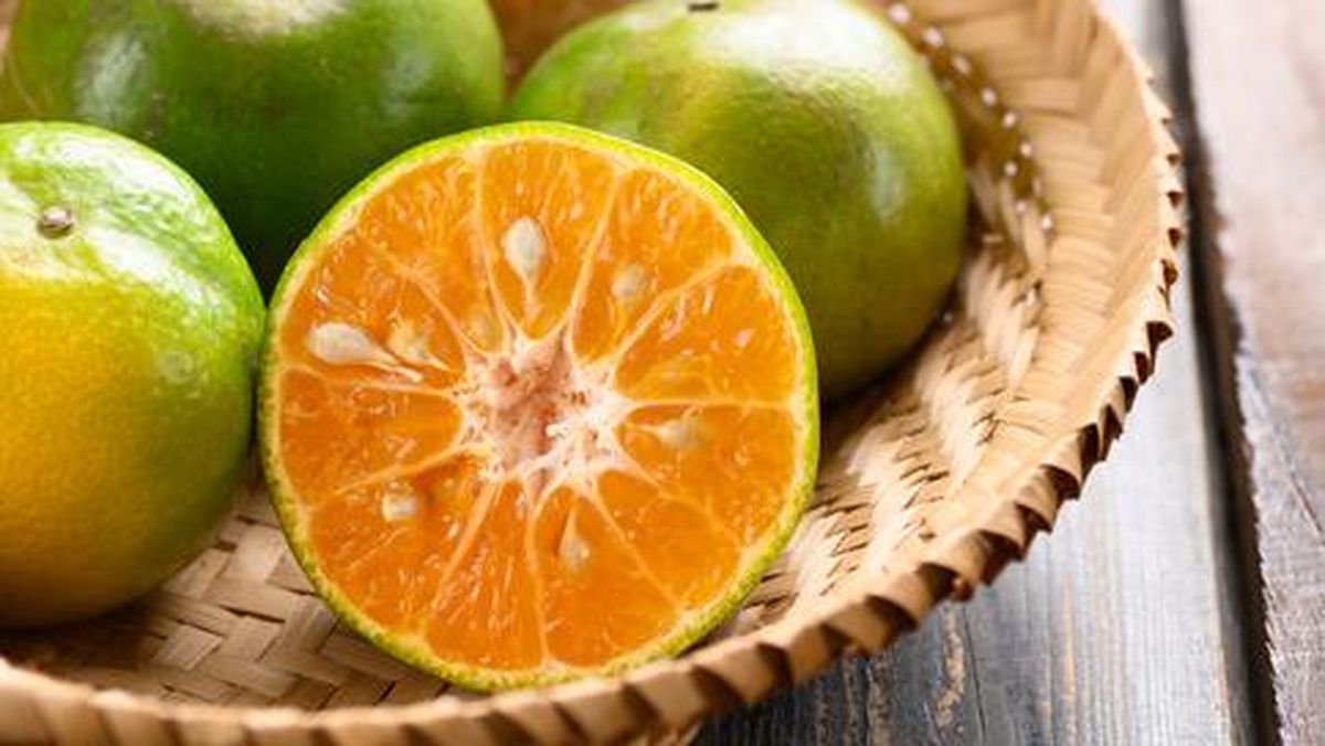 10 Buah Ini Bisa Meningkatkan Kecerdasan Otak Anak, Apa Saja?