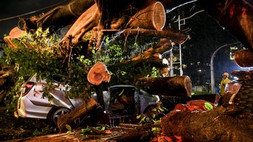 Močno deževje in veter v Džakarti povzročila številne podrte drevesa