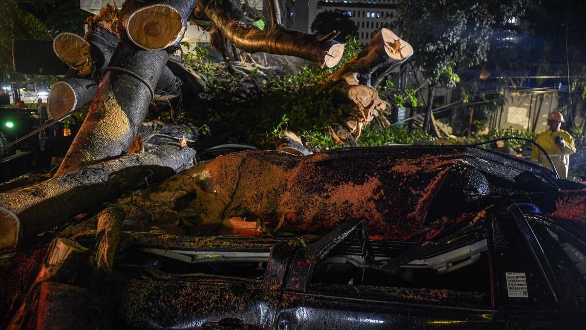 Pohon Tumbang Timpa Mobil Mewah di Pondok Indah, Pengemudi Tewas
