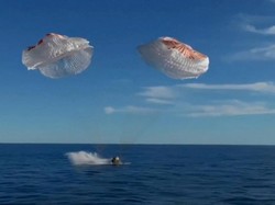Video Lumba-lumba Sambut Kedatangan Astronaut NASA Saat Mendarat di Bumi