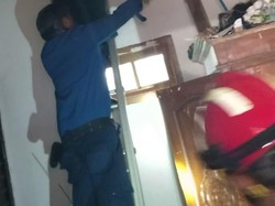 Hii! Ular Sanca 2 Meter Ngumpet di Plafon Rumah Warga Gatak Bantul
