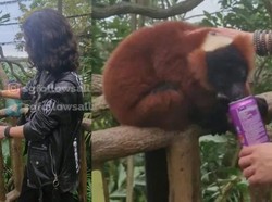 Hewan Langka Jadi Korban Tindakan Nyeleneh Wanita Ini