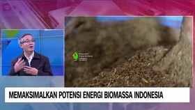 VIDEO: Memaksimalkan Potensi Energi Biomassa Indonesia