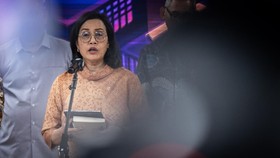 Sri Mulyani Ditunjuk Jadi Dewan Pengawas Danantara