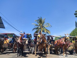 Seribuan Kusir di Jabar Dapat Kompensasi Selama Cuti Lebaran