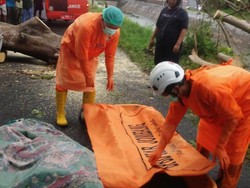 Ketua RW di Jombang Meninggal Tertimpa Pohon Tumbang