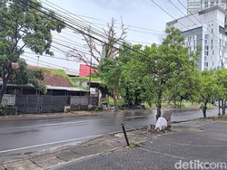 Hujan Deras Disertai Angin Kencang Terjang Sebagian Kota Surabaya