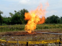 8 Fakta Gas Menyembur dari Sumur Bor Masjid Bojonegoro Akhirnya Dibakar