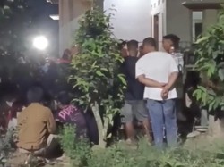 Pria Pencari Sayur di Konsel Tewas Dililit Ular Piton hingga Nyaris Ditelan