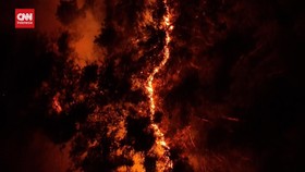 VIDEO: Kebakaran Hutan di Korsel, 4 Orang Meninggal Dunia