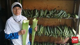 Pemberdayaan UMKM BRI dan Cerita Manis Lidah Buaya Toko FaFa