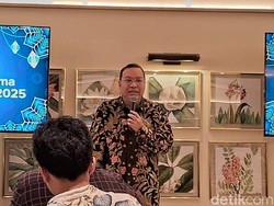 IHSG Sempat Rontok Jelang Pengumuman Danantara, Bos BEI Bilang Begini