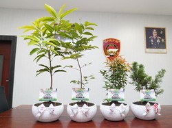 Transformasi Budaya Polda Riau: Pohon Jadi Kado Wajib di Momen Spesial