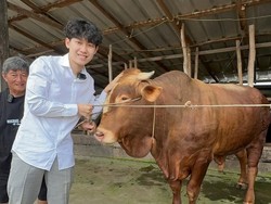 Willie Salim Temui Helmy Yahya soal Heboh Rendang 200 Kg Hilang di Palembang