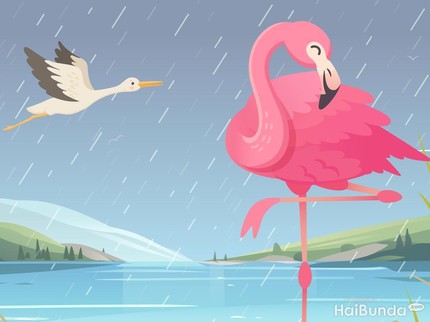 Dongeng Anak: Flamingo dan Kaki yang Kuat