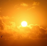 Cari Tahu Lokasinya, Ada Gerhana Matahari 29 Maret 2025 dan Matahari Ganda