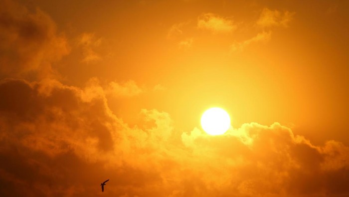 Cari Tahu Lokasinya, Ada Gerhana Matahari 29 Maret 2025 dan Matahari Ganda