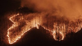 FOTO: Penampakan Kebakaran Hutan di Korsel Makin Ganas
