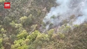 VIDEO: Kecelakaan Mobil Meksiko Sebabkan Kebakaran Hutan, 12 Tewas