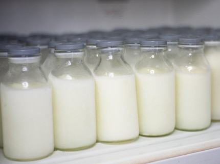 Botol Susu Kaca vs Plastik, Mana yang Lebih Baik untuk Menyimpan ASI?