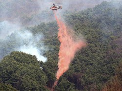 Helikopter Pemadam Kebakaran Jatuh di Korsel, Pilot Tewas