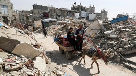 Hamas Makin Gencar Diskusi dengan Mediator Demi Gencatan Senjata Gaza