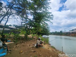 Ngabuburit di Sungai Cimandiri, Pemancing Dikagetkan Kemunculan Buaya
