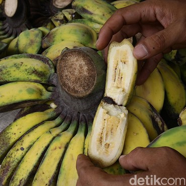 Rekomendasi 6 Buah yang Baik untuk Cegah Penyumbatan Pembuluh Darah