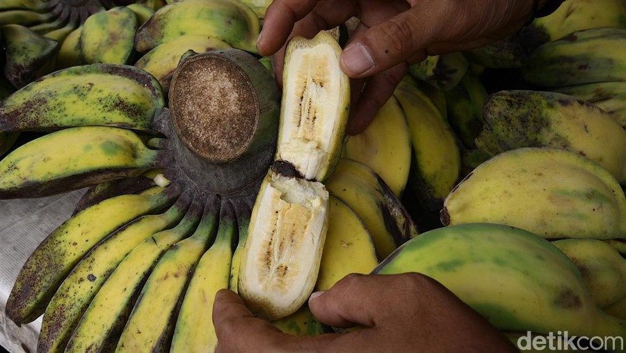 Buah Pisang Laris Manis Dicari Warga Saat Ramadan Pedagang buah pisang melayani pembeli di Pasar Kebayoran, Jakarta Selatan, Kamis (27/3/2025).