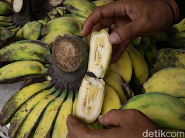 Rekomendasi 6 Buah yang Baik untuk Cegah Penyumbatan Pembuluh Darah