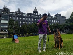 Pet Hotel, Tempat Menginap Hewan Peliharaan yang Ramai Jelang Lebaran
